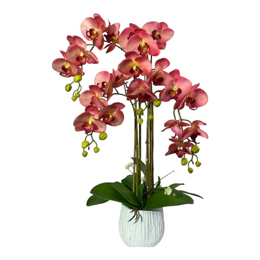 [22408] ORQUIDEA EN MACETA 70CM 24FLORES, 16 BROTES