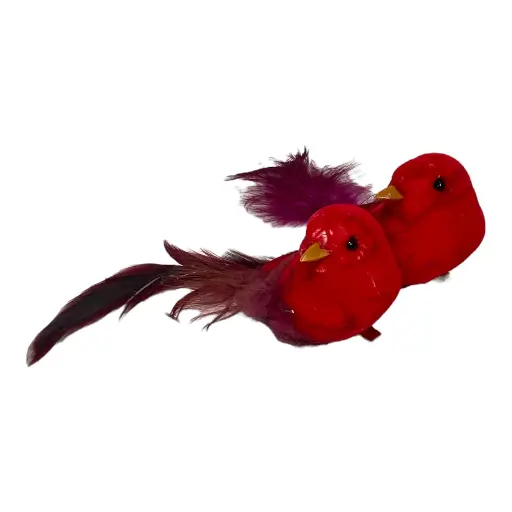 [1702335013784] PAJARO ROJO SETX2 10CM