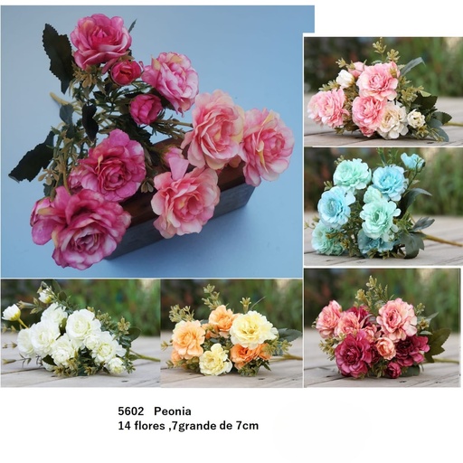 [5602] PEONIA 14FLORES/7CM