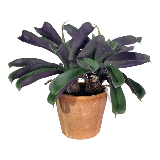 [949066] PLANTA ARTIFICIAL BROMELIA C/MACETA REF:CH06733406 40X54CM