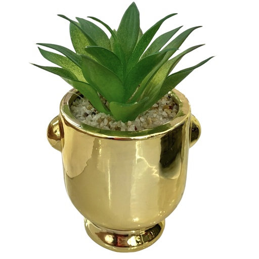 [784035] SUCULENTA EN MACETA 8X13CM ES22773