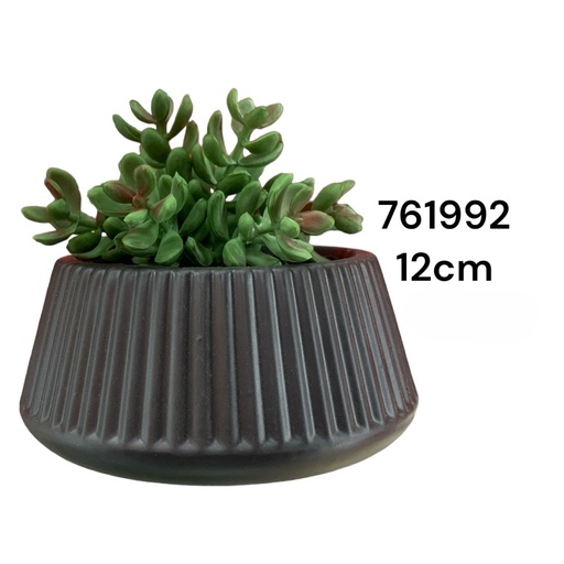 [761992] PLANTA DECORATIVA 14X6.5XH12CM REF:ES23330