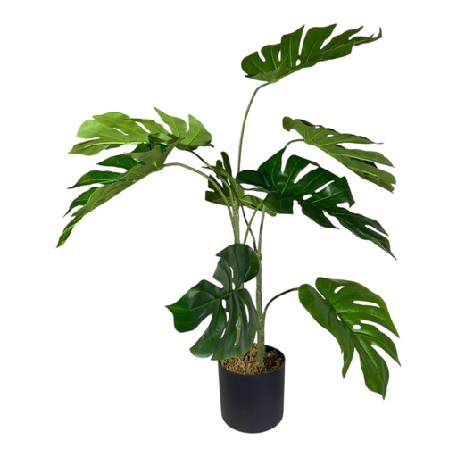 [22450] PLANTA MONSTERA CON MACETA  90CM