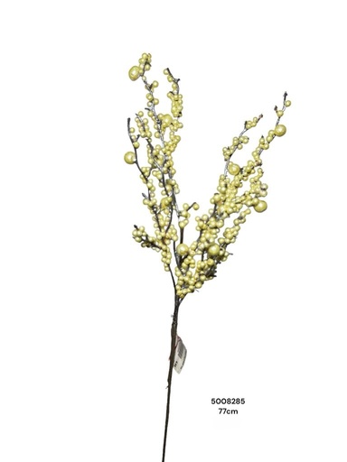 [1702335008285] RAMA PERLAS BEIGE 77CM