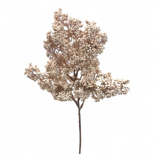 [8679811123356] RAMO FOLAJE 2 COL.