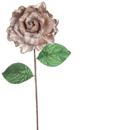 [140-2500161] ROSA DECOR SANTINI CHAMPAGNE 14.5CMX50CM