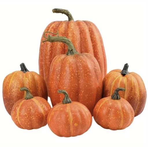 [0018160] SET DE 7 CALABAZAS