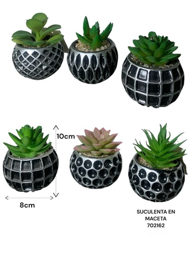[702162] SUCULENT EN MACETA ES22729 8X10CM