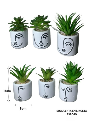 [939040] SUCULENTA EN MACETA  ES22762 8X15CM