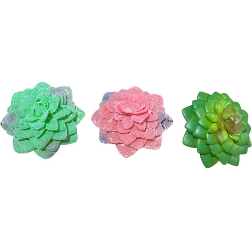 [WX06-07] SUCULENTAS ARTF.  7,5 x 8cm 