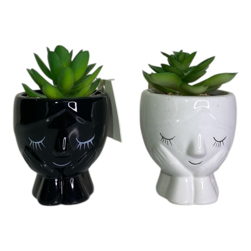 [6584599227382] ES22738 MACETA ROSTRO CON SUCULENTA 7X7X11CM