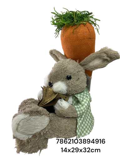 [7862103894916] CONEJO CON LIBRO Y ZANAHORIA 14X29X32CM 23MDS3