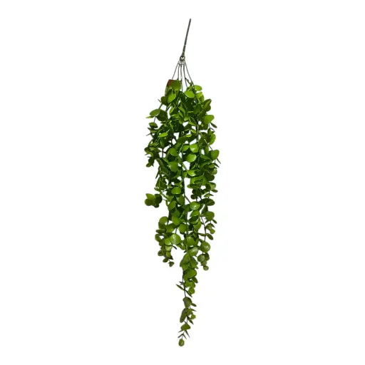 [8679811124575] RAMA EUCALIPTO COLGANTE DISCH 75CM