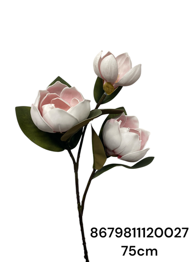 [8679811120027] RAMA MAGNOLIA 75CM