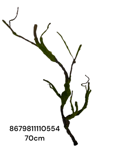 [8679811110554] RAMA ARTF. CON MUSGO 70CM