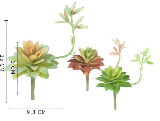 [YB296] SUCULENTA 15CM