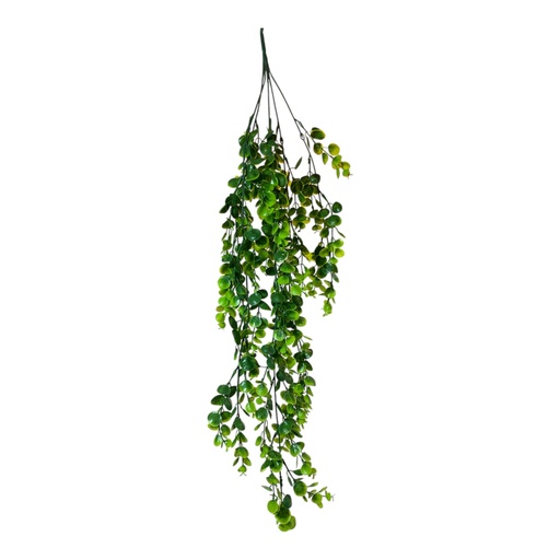[202502020251004] PLANTA HOJAS COLGANTES 78CM