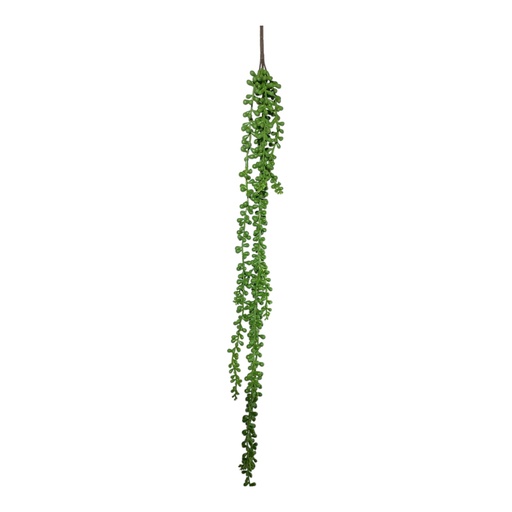 [202502020251005] PLANTA SUCULENTA CACTUS COLGANTE 70CM