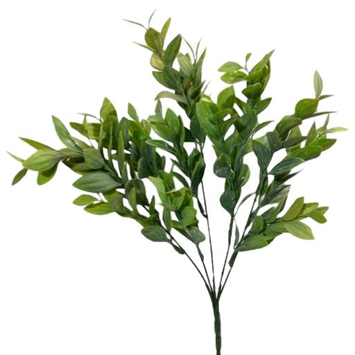 [202402002024112] FOLLAJE DE RUSCO O BUXUS SEMPERVIRENS, RELLENO DE 36CM