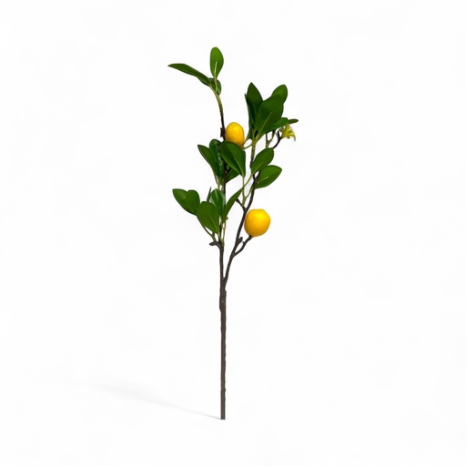 [8679811125350] RAMA LIMON 54CM