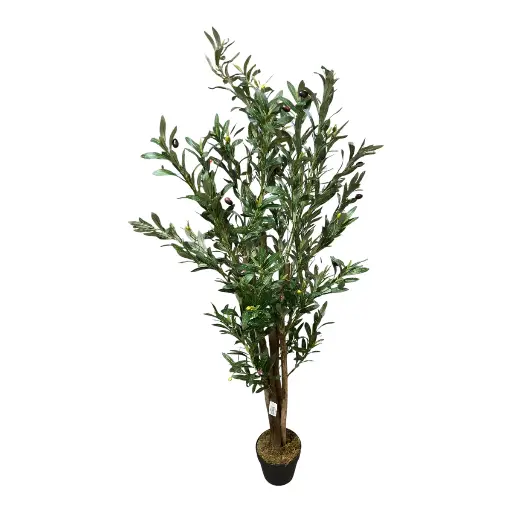 [23898] PLANTA DE OLIVO 150CM CON MACETA