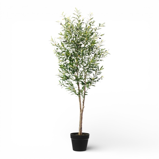 [23898] PLANTA DE OLIVO 150CM CON MACETA