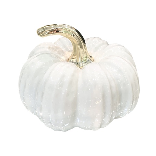 [FI-2025-2054] CALABAZA DE PORCELANA 15X15X12CM