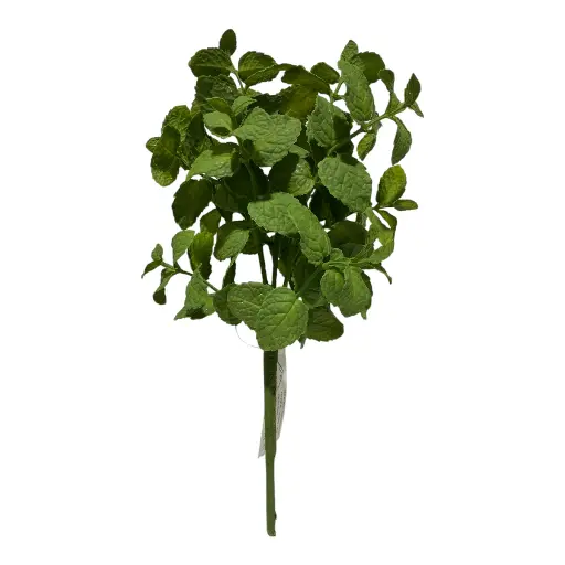 [383564] RAMA ARTF.HOJAS ARBUSTO REF:CH0940570 29CM