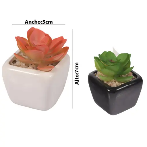 [672974] SUCULENTA ARTF. EN MACETA REF:ES22714 5X7CM