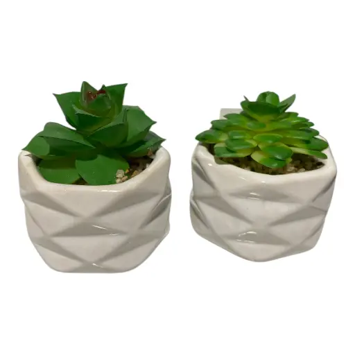 [848623] SUCULENTA ARTF. EN MACETA CERAMICA REF:ES22756 6X10CM   