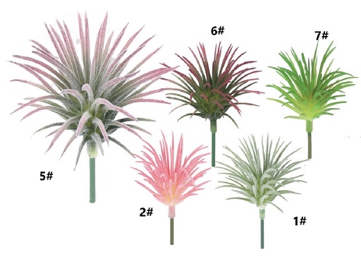 [YB142] SUCULENTA 8CM