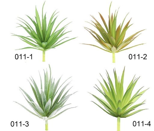 [YB011] SUCULENTA 20CM