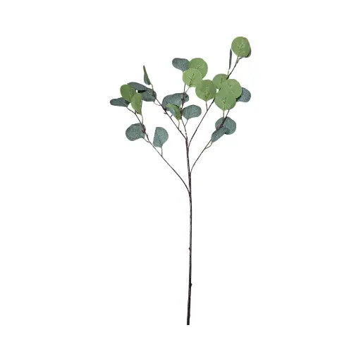 [CS011] RAMA HOJA DE EUCALIPTO COLOR VERDE 90CM