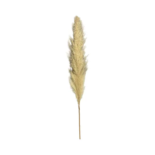 [S50888] PAMPAS ARTF. 90CM 