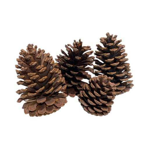 [587314] Piñas de pino navideñas en setx4pcs. (Ø9x11cm aprox.) ES29036